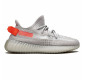 Кроссовки Adidas Yeezy Boost 350 V2 Tail Light