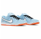Кроссовки Nike Dunk Low Pro SB Gulf
